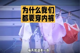 为什么我们都要穿内裤视频封面