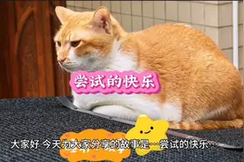 用成绩证明自己，而非锋芒毕露。低调做人，高调做事。视频封面