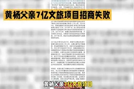 黄杨父亲7亿文旅项目招商失败：官商勾结，腐败曝光视频封面