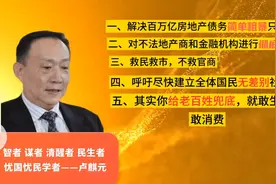 智者 谋者  经济学家 卢麒元  可以简单粗暴解决百万亿房地产债务视频封面