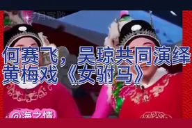 何赛飞，吴琼共同演绎黄梅戏《女驸马》视频封面