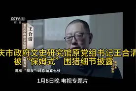 重庆市政府文史研究馆原党组书记王合清被“保姆式”围猎细节披露视频封面