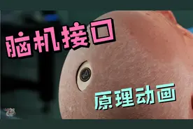 脑机接口原理 脑机接口结构原理，实现意念控制万物