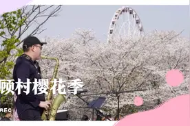 顾村公园染井吉野盛开辅天盖地灿若云霞抓紧时间看天气预报来赏撄视频封面