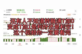 转融通T加0变成T加1是利好还是利空！这个视频你一定要看完！
