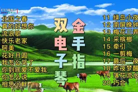 20首金手指甜歌篇双电子琴联奏