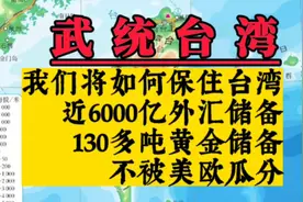 将如何保住台湾六千亿外汇储备及130多吨黄金储备不被美欧瓜分、视频封面