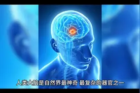 大脑的神奇之处：解析人类智慧的源泉