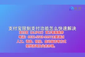 怎么解决支付宝花呗/借呗/冻结额度问题，在线咨询人工电话服务视频封面