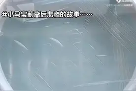 小马宝莉后的悲惨故事视频封面