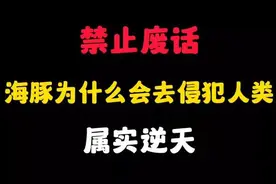 省流：海豚为什么会去侵犯人类？属实逆天... #科普一下 #视频封面