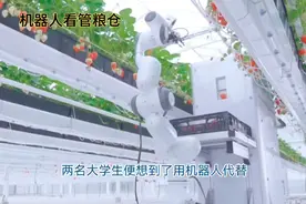 机器人守护粮仓视频封面
