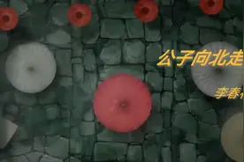 超唯美动听的一首歌《公子向北走》此生就此别过了，难以忘怀视频封面