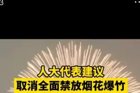 安徽合肥政协委员人大代表:取消全面禁放烟花爆竹一刀切pk禁改限视频封面