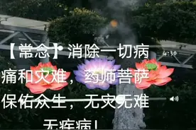 常念会消除一切病痛，药师佛保佑一切众生，无灾无难，无疾病🙏🏼视频封面