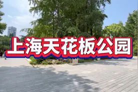 上海天花板公园，真的惊艳到我了，里面的景点美不胜收视频封面