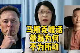 马斯克喊话，心想已经可以事成！蔡磊为何不为所动？视频封面