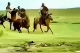 这个世界没有救世主，真正拯救自己的永远是自己。视频封面