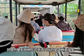 网络热梗：特种兵式旅游视频封面