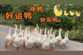 当我学习沈月剪volg｜随手记录我的生活碎片～