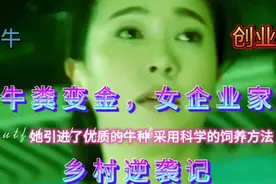 放弃都市繁华，美女白领回乡养牛，开创亿元销售传奇在繁华的都市视频封面