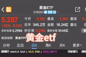黄金etf