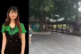 福州西湖公园，景点多多，荔枝成熟，美丽壮观，避暑休闲好地方视频封面