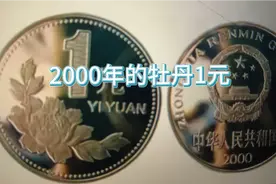 一枚2000年发行的牡丹1元，价值不菲！视频封面