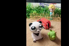 老爸下雨啦视频封面
