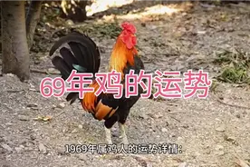 69年鸡的运势详情视频封面