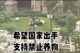 不要相信狗主人说不会咬人，等咬了就晚了