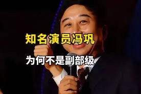 知名演员冯巩，民革中央副主席，为何不是副部级？