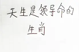 天生是领导命的生肖视频封面