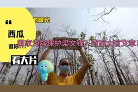 国家为啥保护梁文锋？背后大有文章。11视频封面