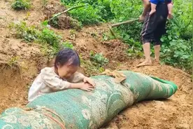 这个孩子实在太可怜了，接下来该怎么活下去呢