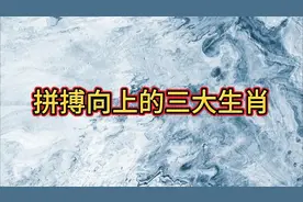 拼搏向上的三大生肖视频封面