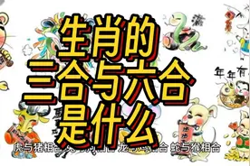 你知道生肖的三合与六合是什么意思吗？视频封面