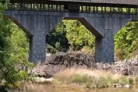 电影（廊桥遗梦）经典对白，罗伯特：皂角树，弗朗西斯卡：丹东恒视频封面