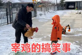 宰鸡能发生啥搞笑事？二条老爸认真忙乎，突然出现的一幕笑坏全家视频封面