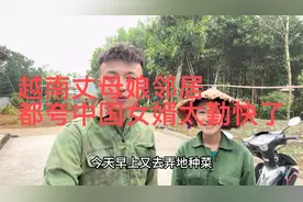 中国女婿在越南老婆家每天帮丈母娘干农活，邻居夸中国人太勤快了视频封面