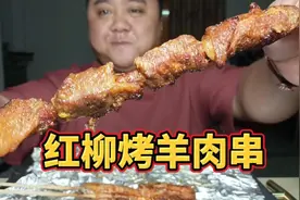 东莞气温回升，买点羊肉串喝上两瓶冰镇啤酒真不错。