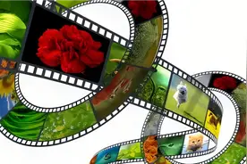 无名英雄视频封面