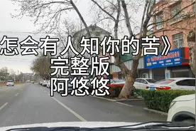 《怎会有人知你的苦》完整版阿悠悠 怎会有人知你的苦 怎会有人…视频封面