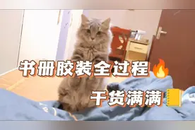 文本、书册胶装 全过程