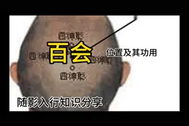 百会穴位置及其功用