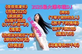 2025最火车载DJ，夜夜夜漫长，伤情2025，疯狂来袭！