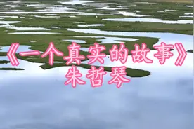 《一个真实的故事》朱哲琴#原唱完整版#丹顶鹤的故事