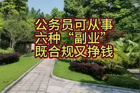 公务员可从事六种“副业”，既合规又挣钱