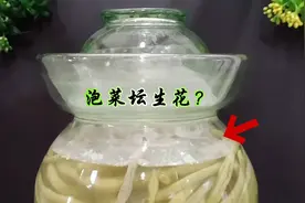泡菜坛生花，放白酒不管用，四川人教你妙招，坛水清亮一点不生花视频封面