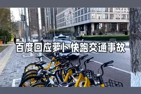 萝卜快跑在武汉学会别车视频封面